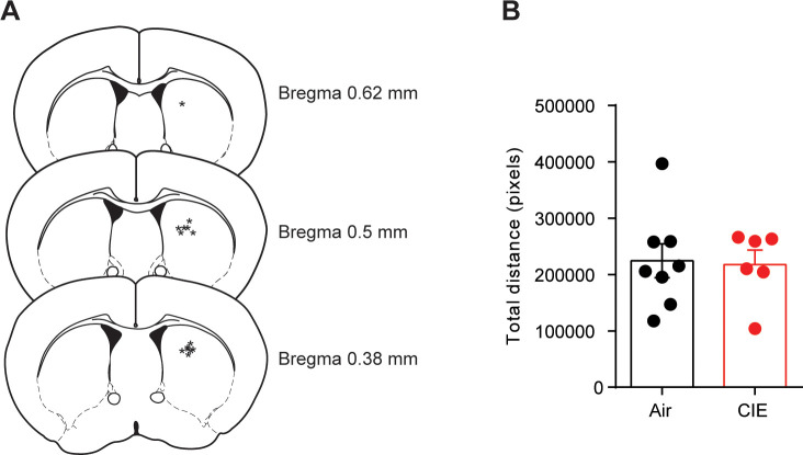 Figure 3—figure supplement 1.