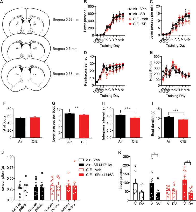 Figure 6—figure supplement 1.