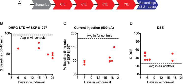 Figure 4—figure supplement 2.