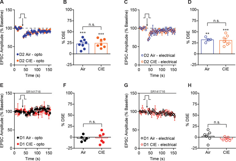 Figure 4—figure supplement 1.