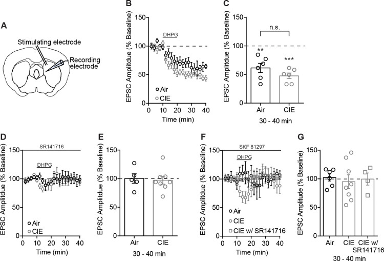 Figure 2—figure supplement 1.