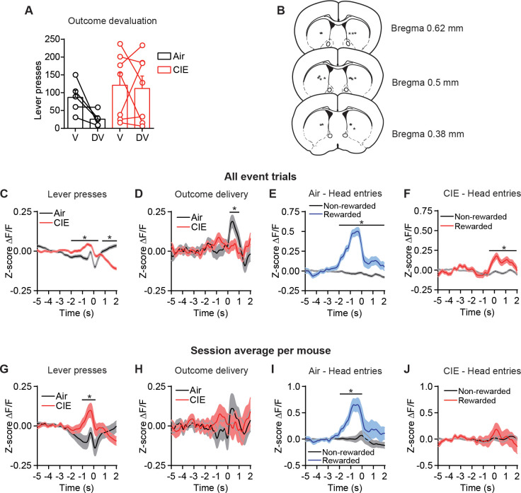 Figure 1—figure supplement 1.