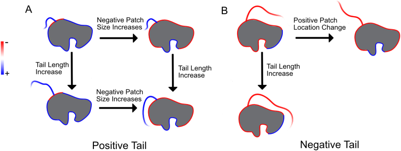 Fig. 7