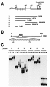 FIG. 8