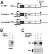 FIG. 6