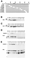 FIG. 9