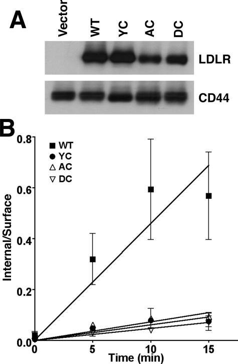 FIGURE 7.