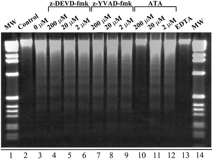 Fig. 9.