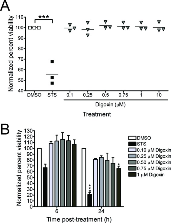 FIG 5 