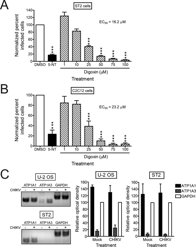 FIG 3 