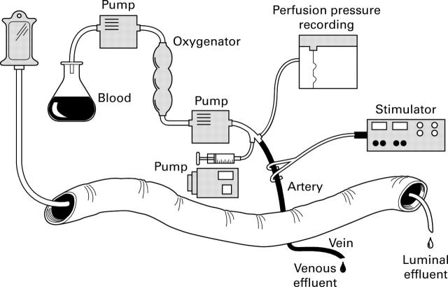 Figure 1  