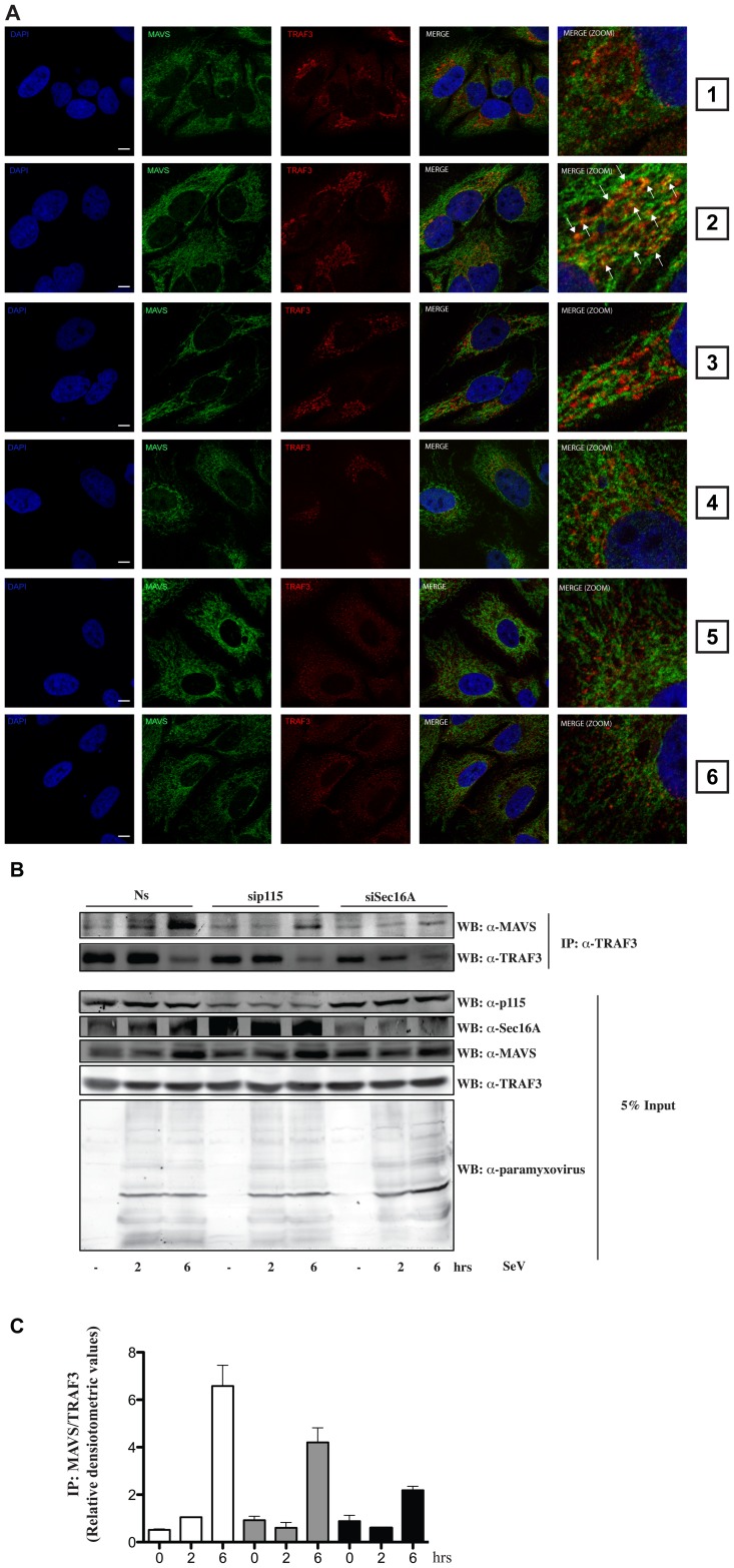 Figure 6