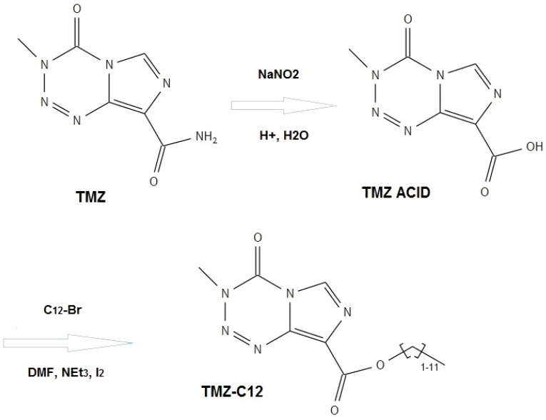 Figure 12