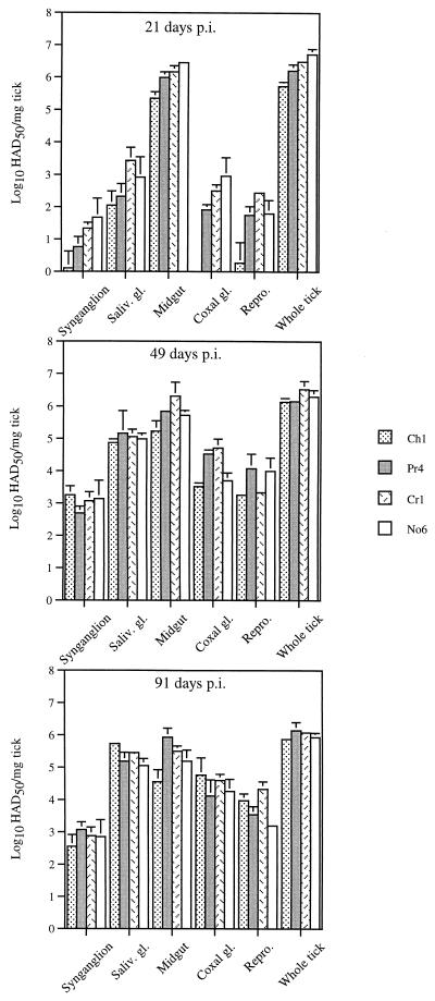FIG. 8