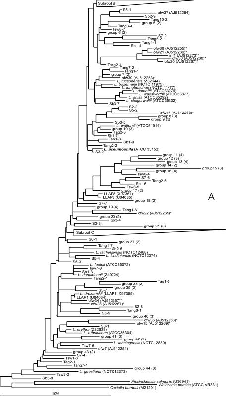 FIG. 2.