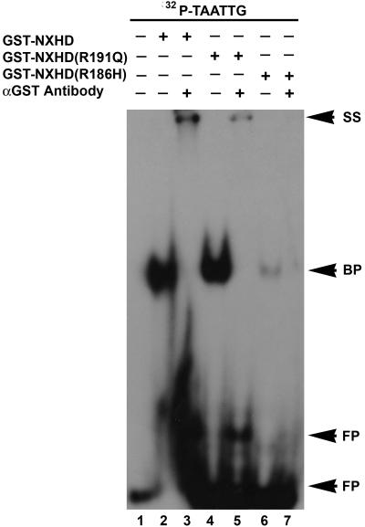 Figure  2. 