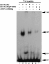 Figure  3.