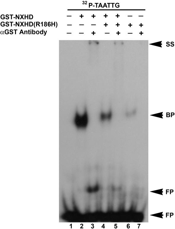 Figure  3. 