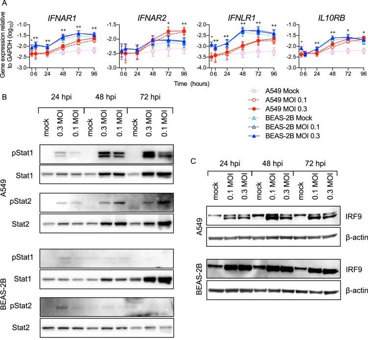 FIG 6