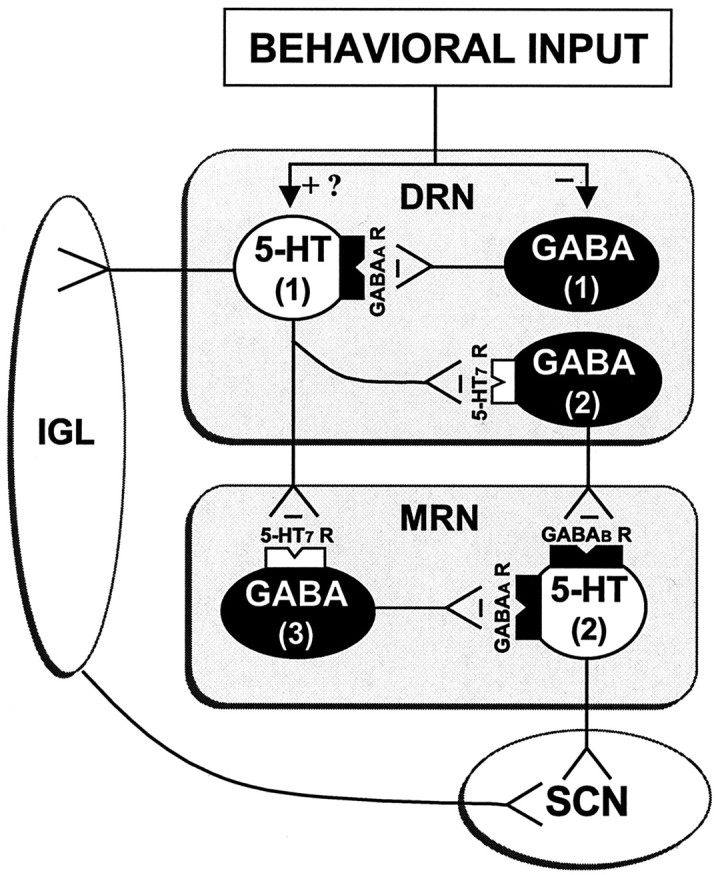 Figure 9.