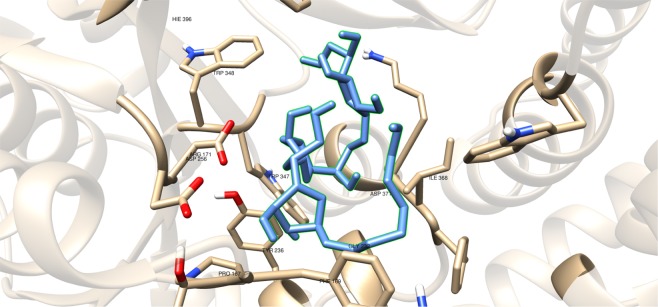 Figure 10