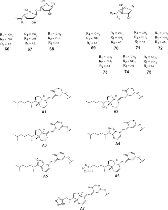 Figure 17