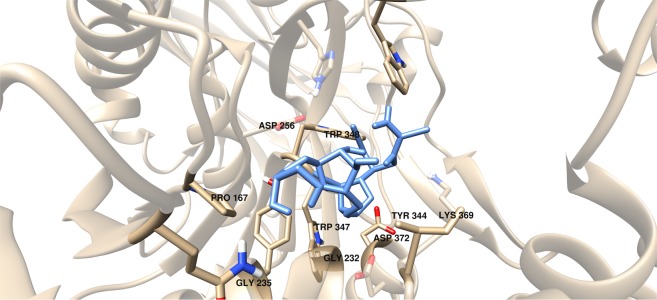 Figure 15