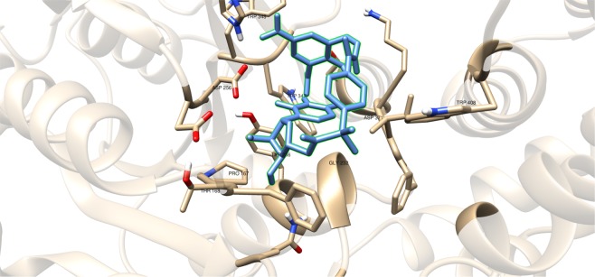 Figure 13