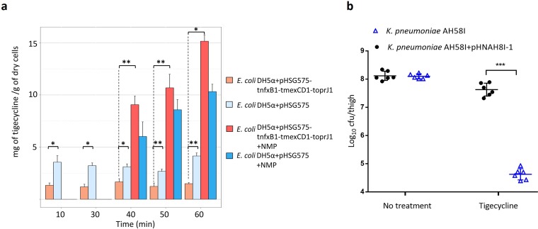 FIG 1