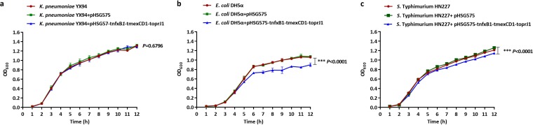 FIG 2