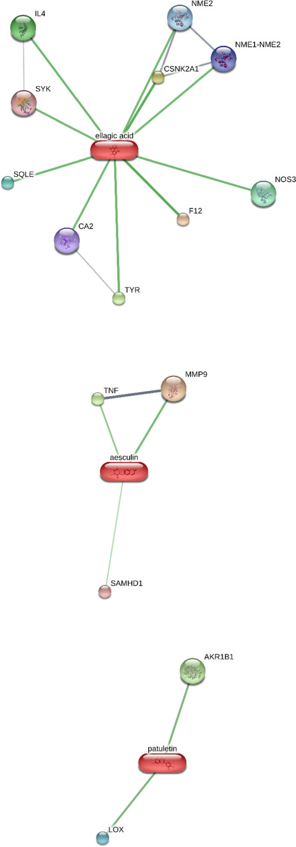 Fig. 7