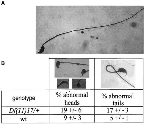 FIG. 6.