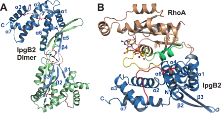 FIGURE 2.