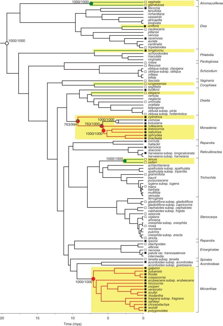 Fig. 6.