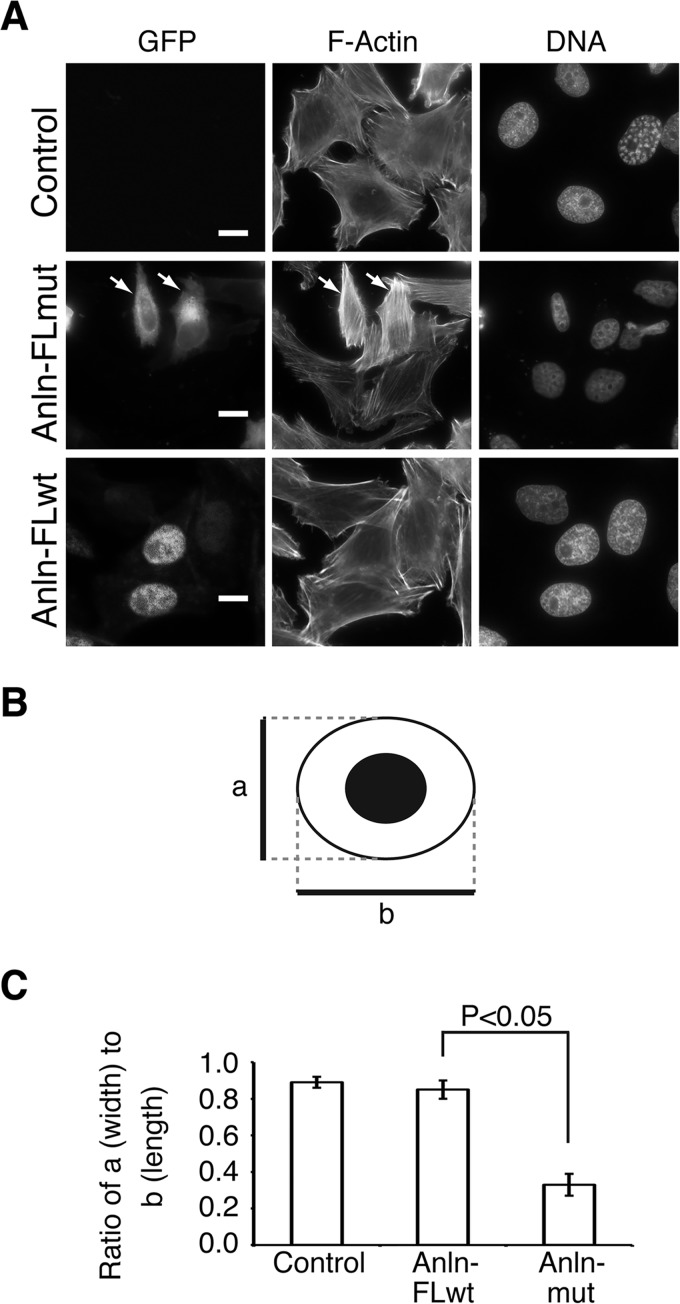 FIGURE 7.