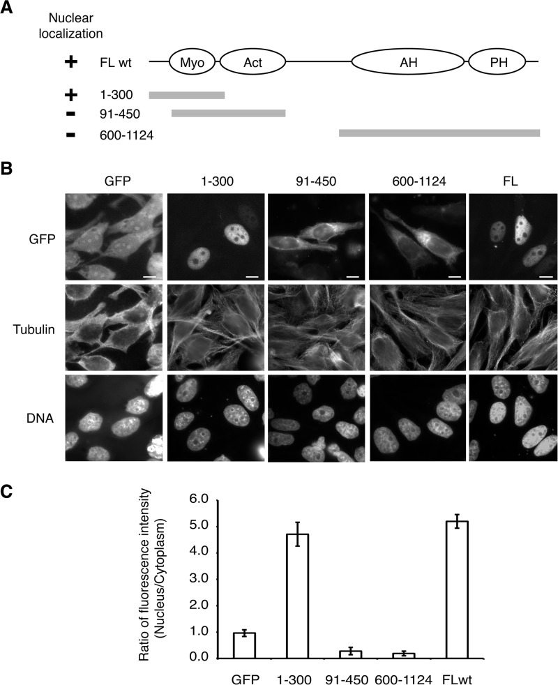 FIGURE 1.