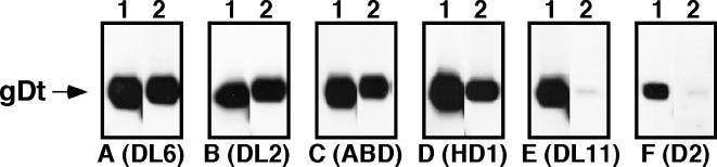 FIG. 8