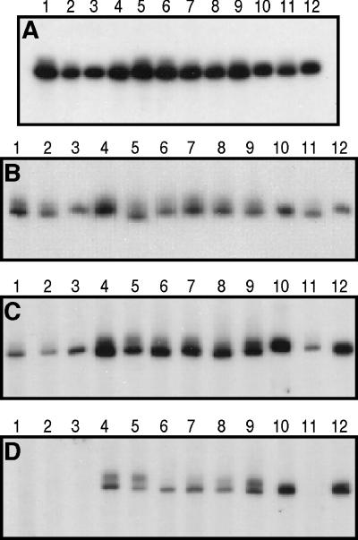 FIG. 6