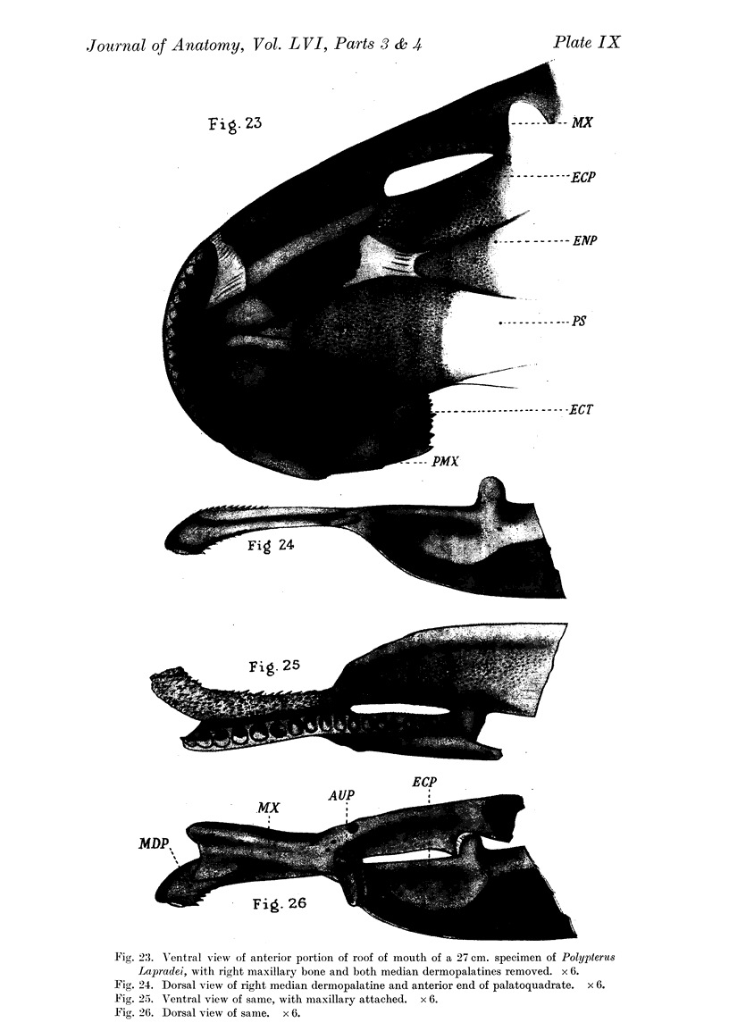 294-13