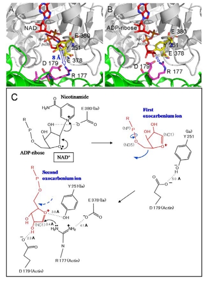 Figure 13