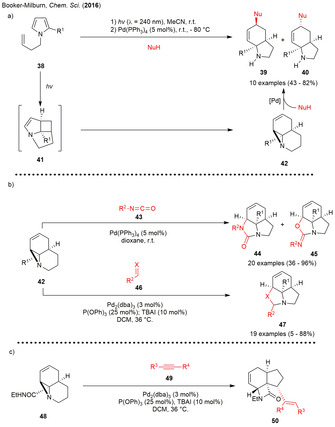 Scheme 5