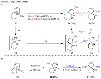 Scheme 3