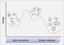 graphic file with name CHEM-27-4500-g030.jpg