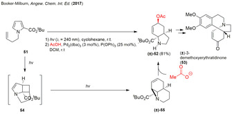 Scheme 6