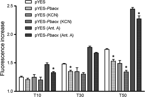 Fig. 9.