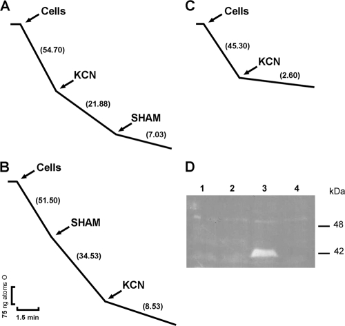 Fig. 8.