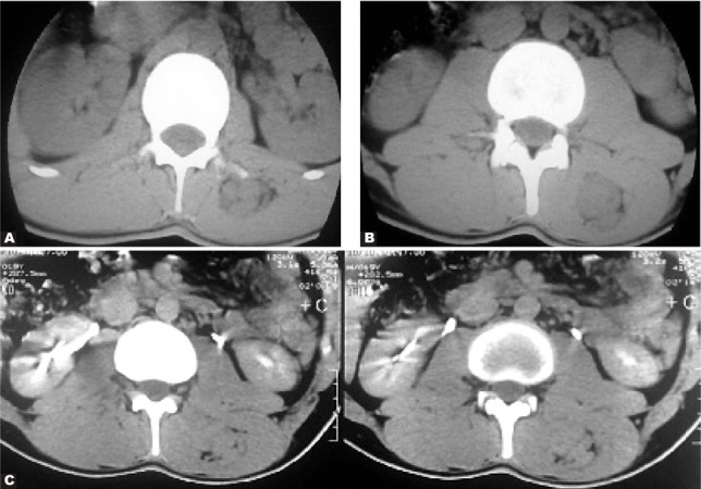 Fig. 8