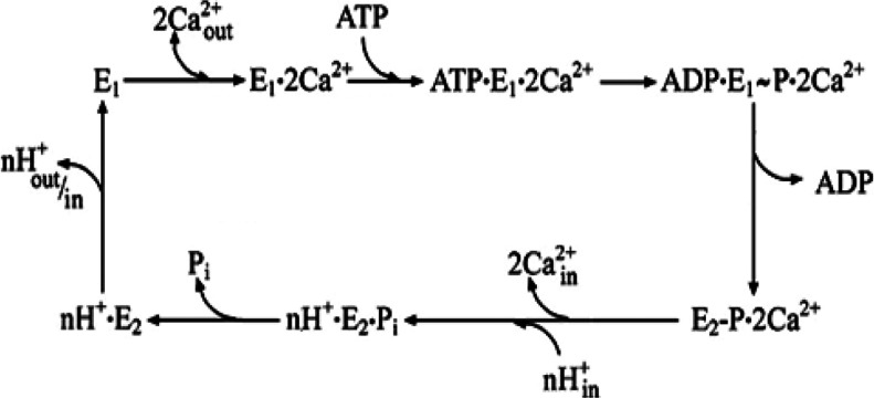 Scheme 1