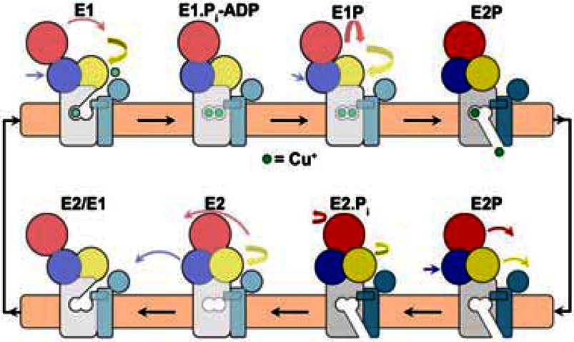 Scheme 3