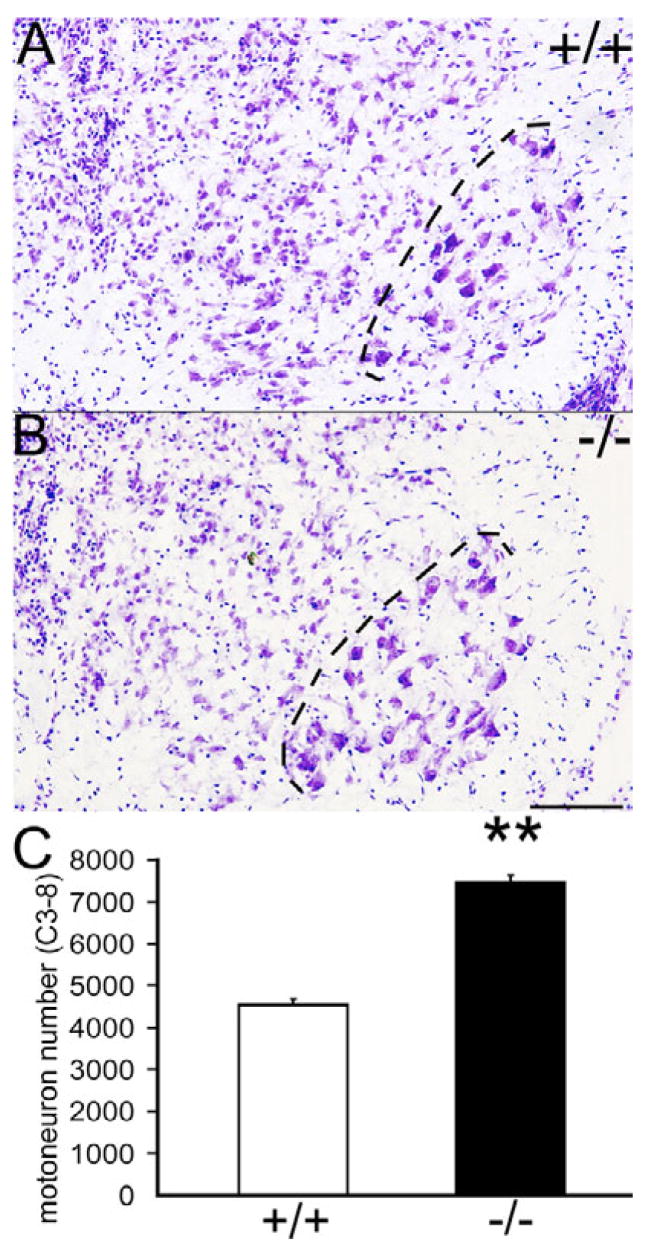 Fig. 10